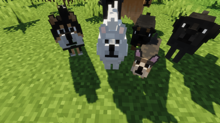 Better Dogs Resource Pack 1.18-1.17.1: Puppies, Pugs and Corgi are ...