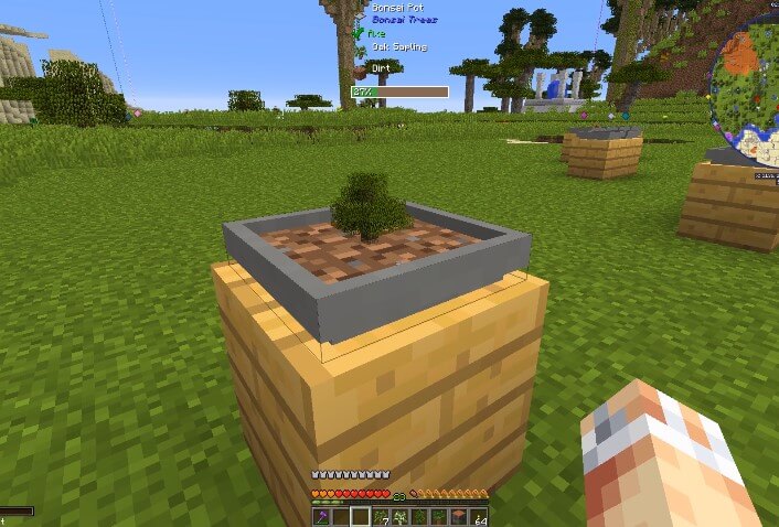 Bonsai Trees Mod