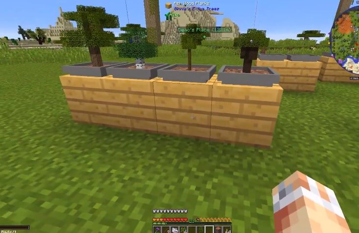 Bonsai Trees Mod