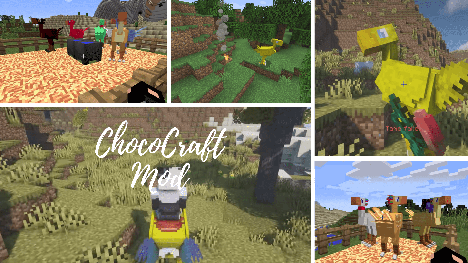 ChocoCraft Mod